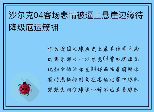 沙尔克04客场悲情被逼上悬崖边缘待降级厄运簇拥